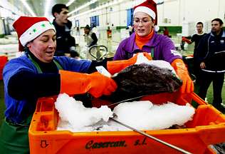 Vigo registra la segunda descarga de pesca más voluminosa del año