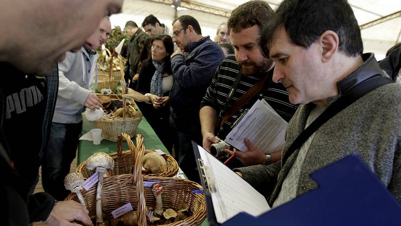 La Feira de Fungos e Cogumelos de As Pontes reúne a 28 ... - La Voz de Galicia