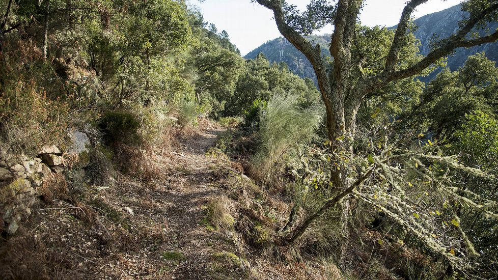 Solo una parte del Camiño do Tirox está transitable en la actualidad