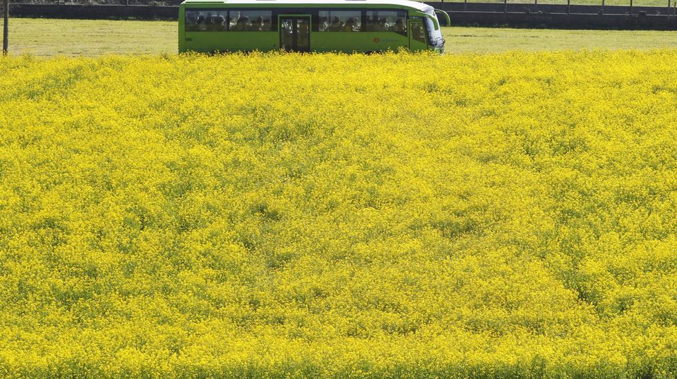 Un autobús a su paso por Teo