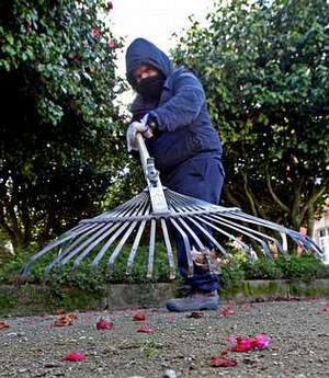 Alvaro Garc�a-Nieto trabaja en los jardines de la Diputaci�n. 