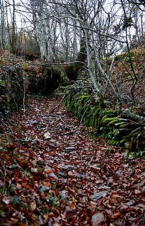 Camino de acceso al viejo recinto fortificado 