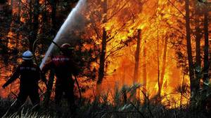 Nuno Andre Ferreira/Efe