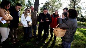 M�NICA FERREIR�S