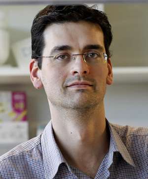 Un investigador gallego halla una hormona que podría usarse como diana contra la obesidad
