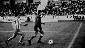 ALBERTO MARTI VILARDEFRANCOS