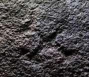 La piedra y uno de sus detalles. 