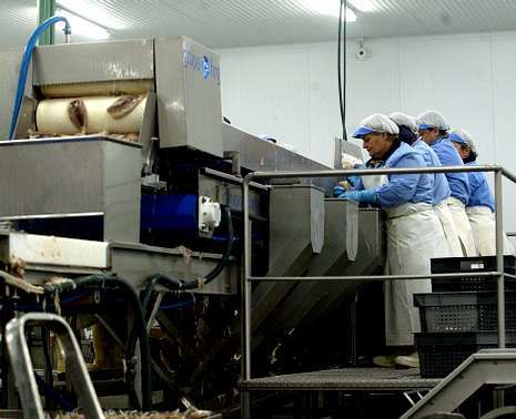 Pontevedra Norte: Un polo económico que genera más del 10 % del PIB gallego