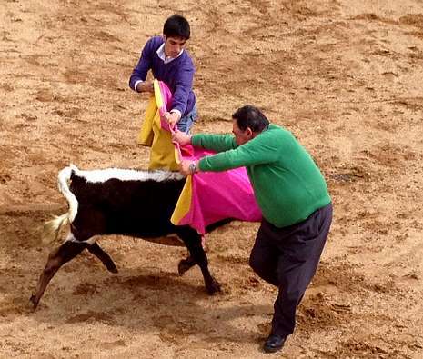 Algún sarriano demostró su valentía saltando al ruedo para torear a las vaquillas 