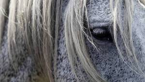 MIGUEL VIDAL | REUTERS