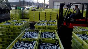 Jos� Manuel Ferreiro