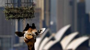 DAVID GRAY | Reuters