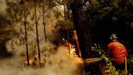 La declaracin de zona catastrfica permitir destinar recursos econmicos a las zona devastadas por el fuego. FOTGRAFO: JOSE LUIS SAAVEDRA | REUTERS