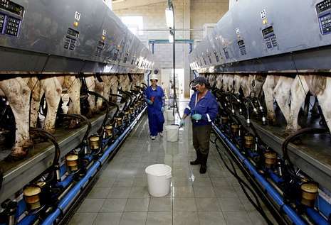 La industria láctea impone su ley