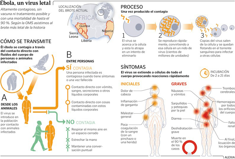 ¿Cómo protegerse del ébola? Ebola_grafico_xxl1