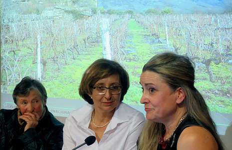Esther Teijeiro, Ana Casal y María José Yrabedra, ayer frente a la fotografía de un viñedo 