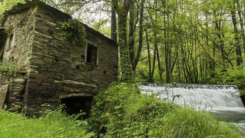 El molino de la Casa de Olmo es uno de los tres que funcionaron en la localidad